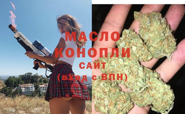 гашик Бородино